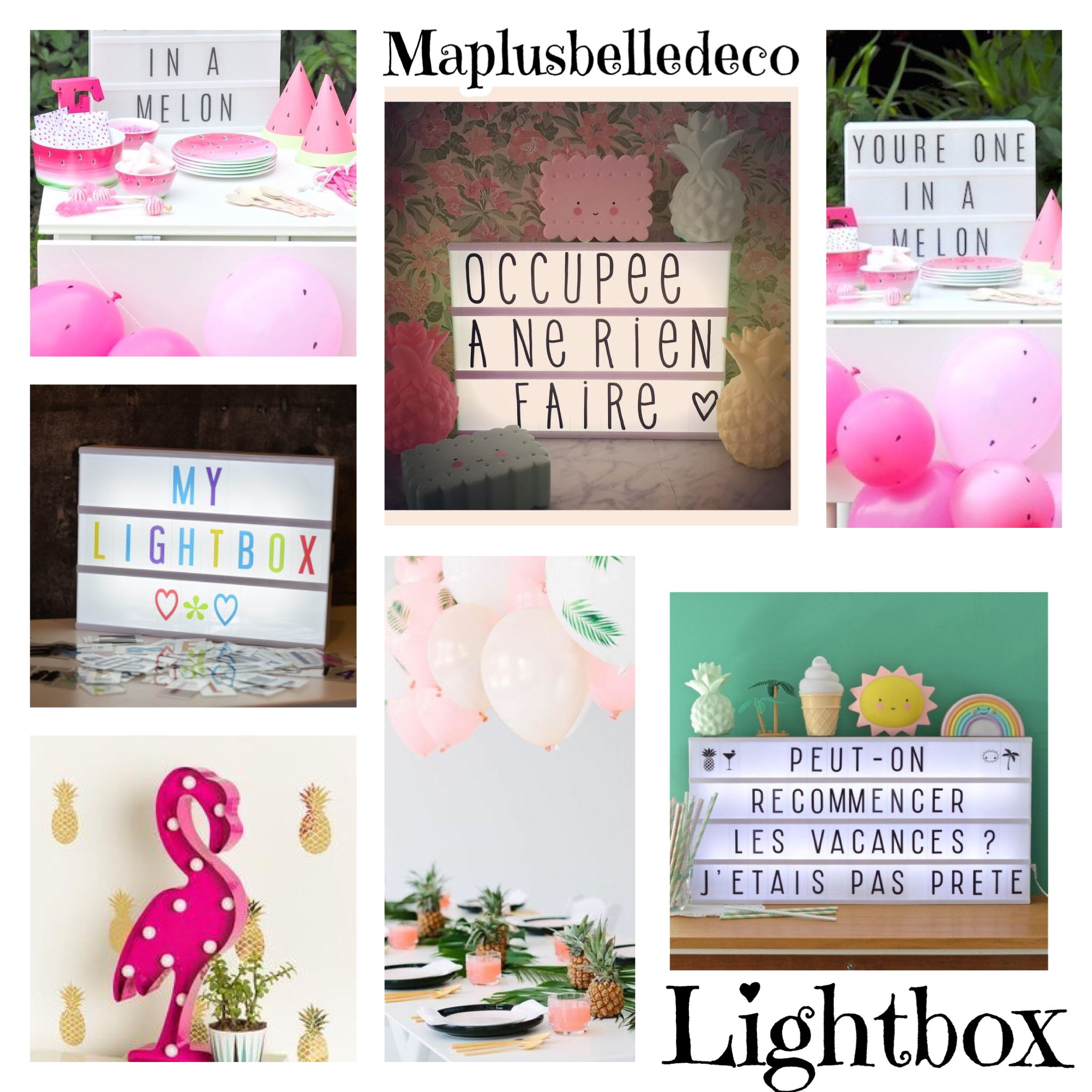 lightbox menthe